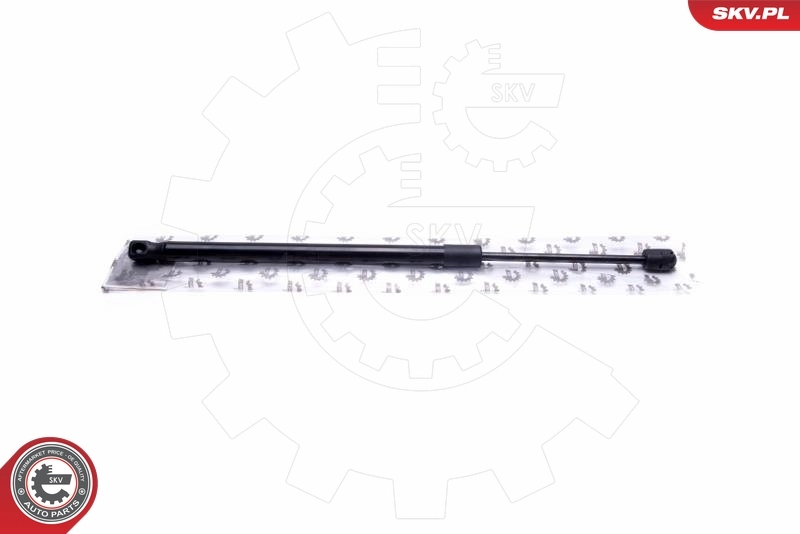 Gas Spring, boot/cargo area